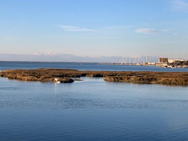 Punta Faro Villa Lignano Sabbiadoro Eksteriør billede